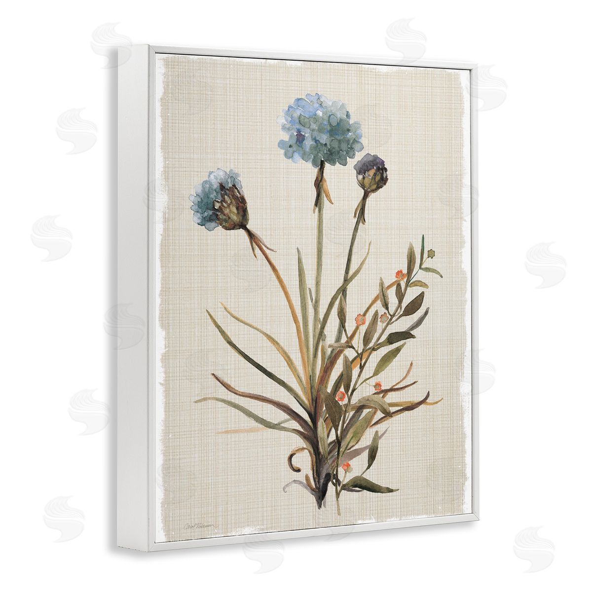 Natural Hydrangea Buds White Frame Print Wall Art, Home Decor by Carol Robinson