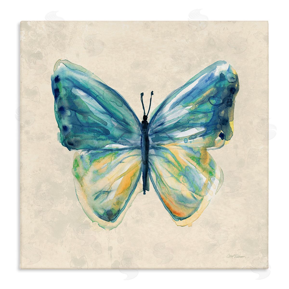 Bright Watercolor Butterfly Canvas Wall Art, Home Decor by Carol Robinson