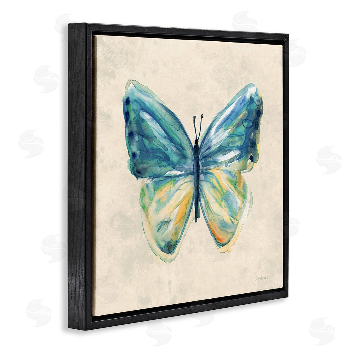 Bright Watercolor Butterfly Black Floating Frame Canvas Wall Art, Home Decor by Carol Robinson