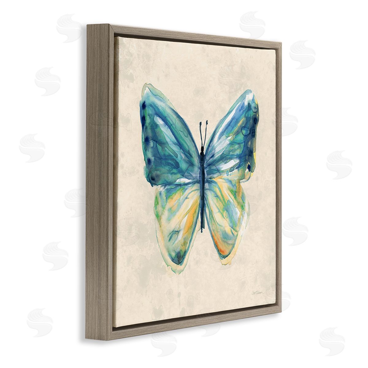 Bright Watercolor Butterfly Brown Floating Frame Canvas Wall Art, Home Decor by Carol Robinson
