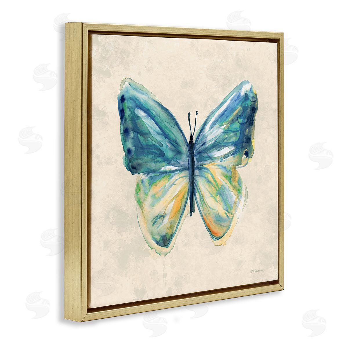 Bright Watercolor Butterfly Gold Floating Frame Canvas Wall Art, Home Decor by Carol Robinson