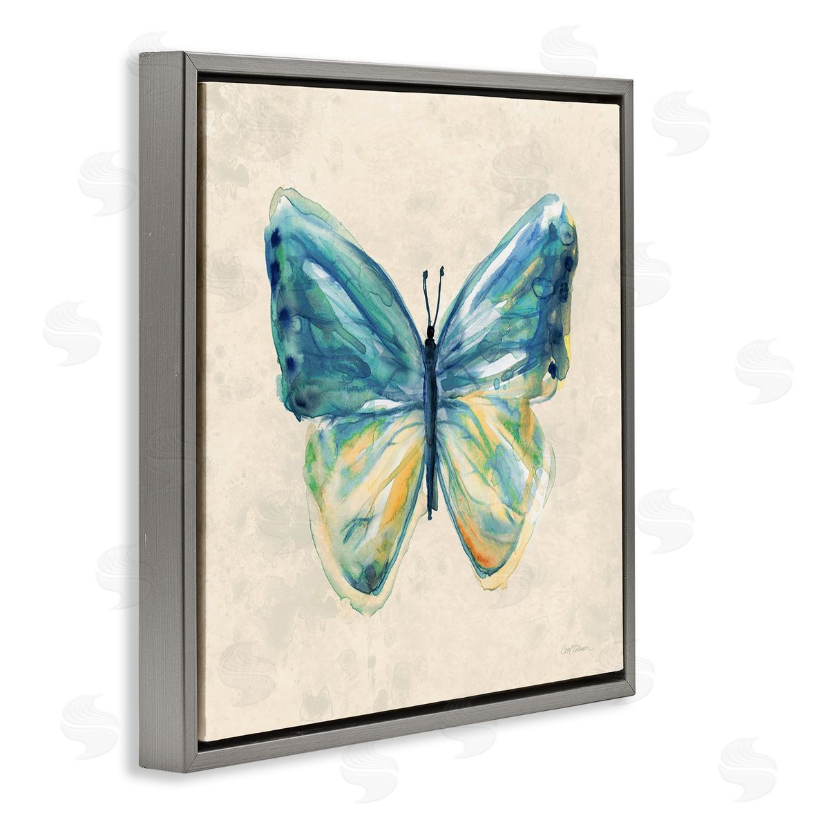 Bright Watercolor Butterfly Grey Floating Frame Canvas Wall Art, Home Decor by Carol Robinson