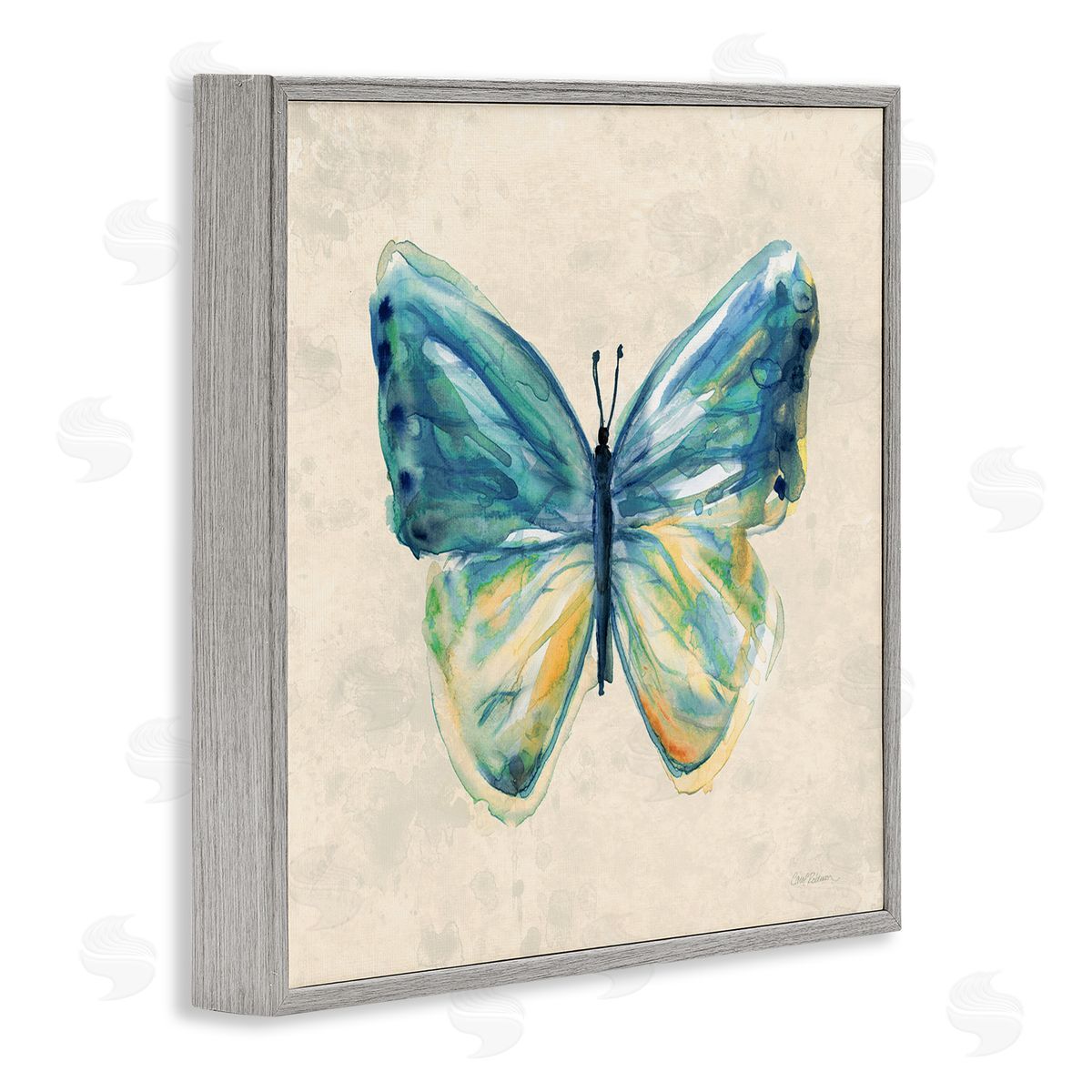 Bright Watercolor Butterfly Grey Frame Print Wall Art, Home Decor by Carol Robinson
