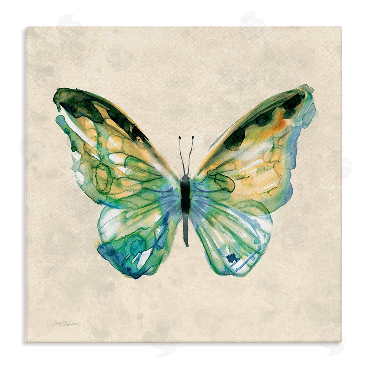 Watercolor Cottage Butterfly Canvas Wall Art, Home Decor by Carol Robinson