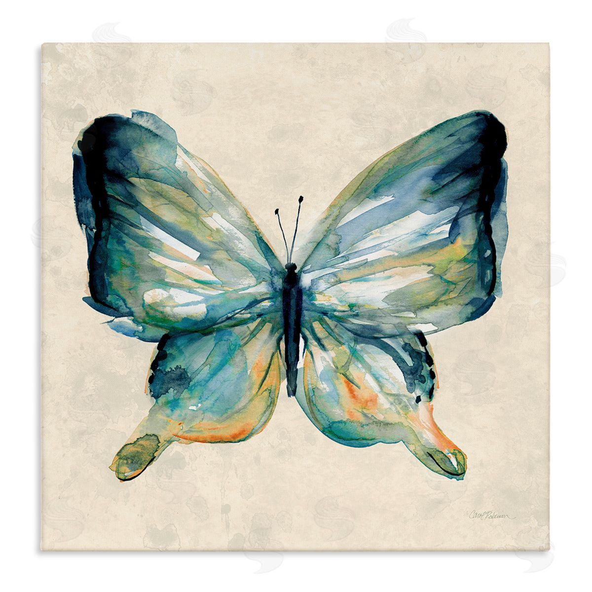 Bold Butterfly in Green Canvas Wall Art, Home Decor by Carol Robinson