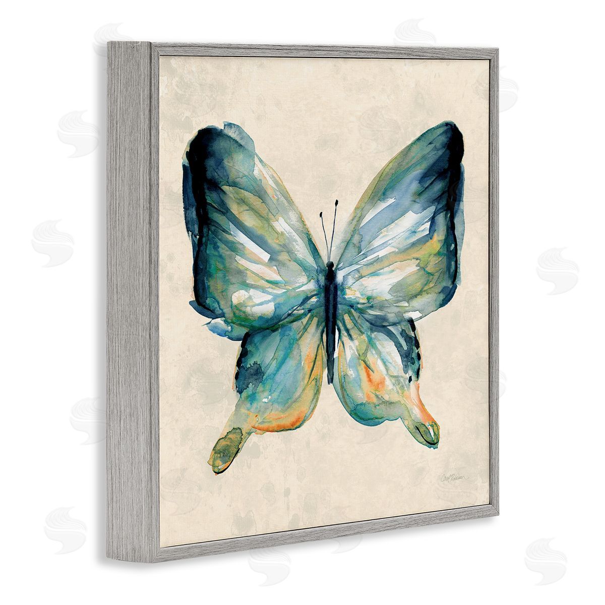Bold Butterfly in Green Grey Frame Print Wall Art, Home Decor by Carol Robinson