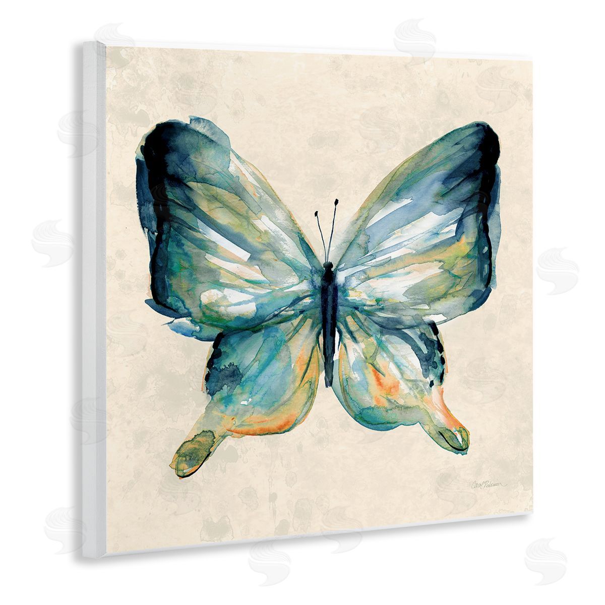 Bold Butterfly in Green Wood Plaque Wall Art, Home Decor by Carol Robinson