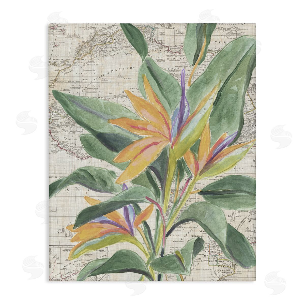 Tropical Flower over Map Canvas Wall Art, Home Decor by June Erica Vess