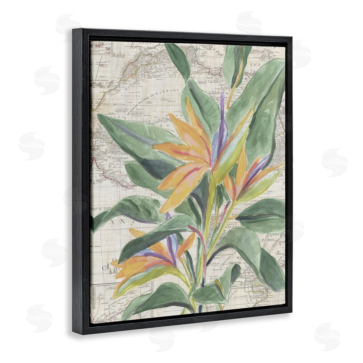 Tropical Flower over Map Black Floating Frame Canvas Wall Art, Home Decor by June Erica Vess