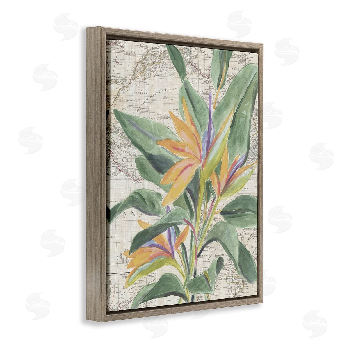 Tropical Flower over Map Brown Floating Frame Canvas Wall Art, Home Decor by June Erica Vess