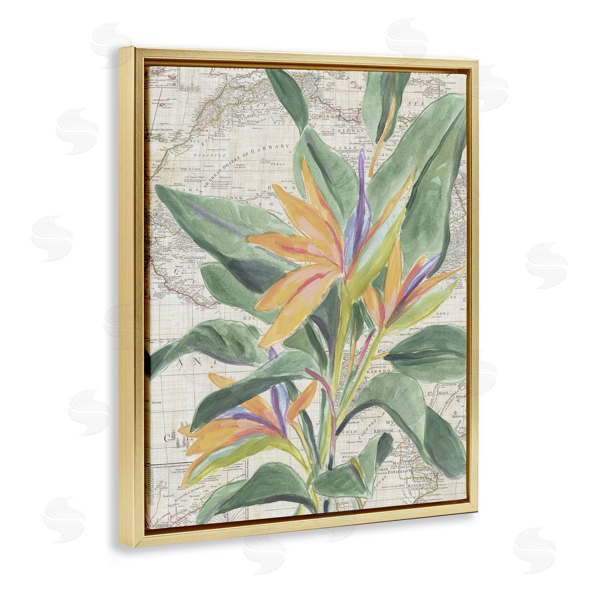 Tropical Flower over Map Gold Floating Frame Canvas Wall Art, Home Decor by June Erica Vess