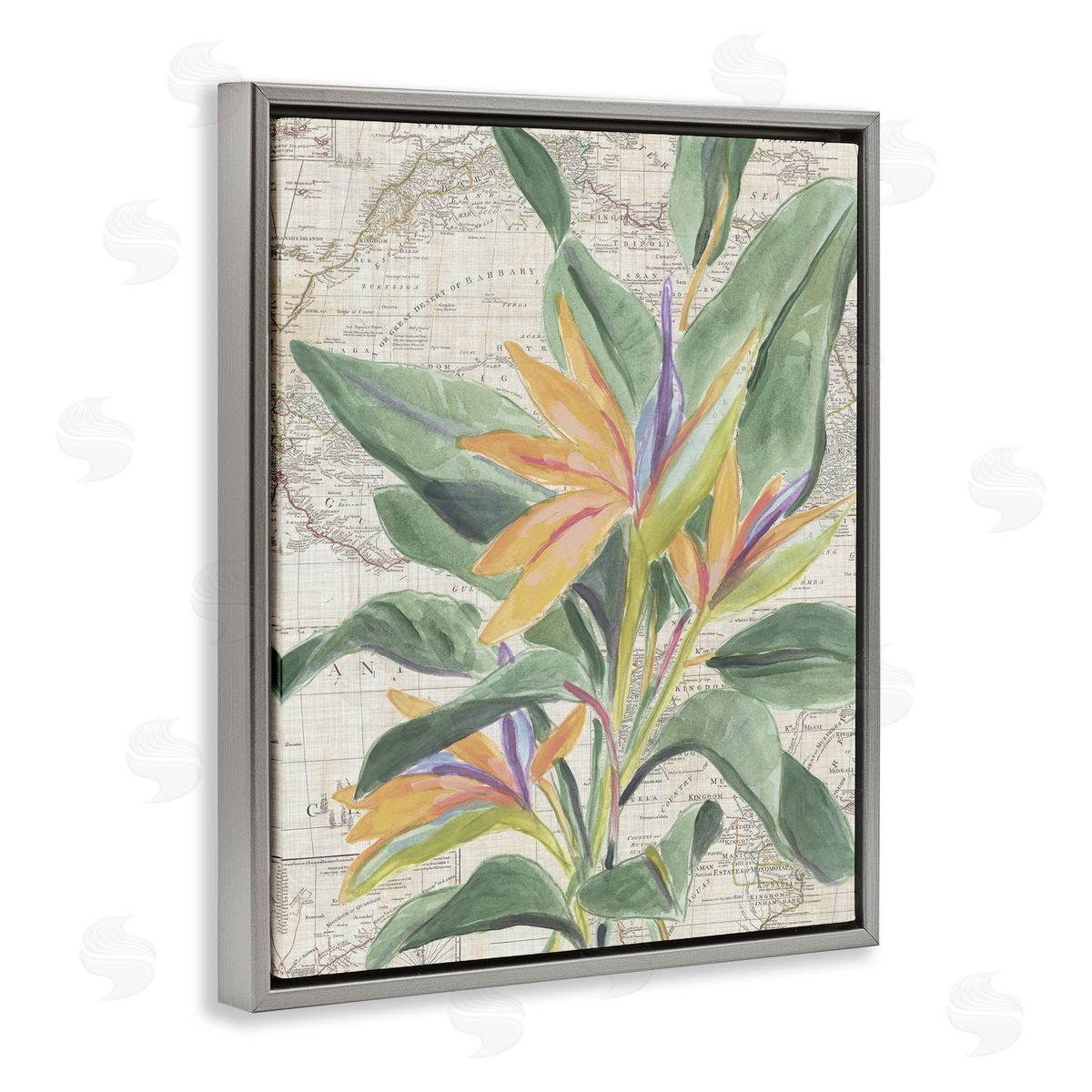 Tropical Flower over Map Grey Floating Frame Canvas Wall Art, Home Decor by June Erica Vess