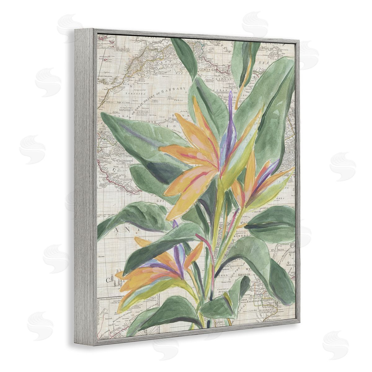Tropical Flower over Map Grey Frame Print Wall Art, Home Decor by June Erica Vess