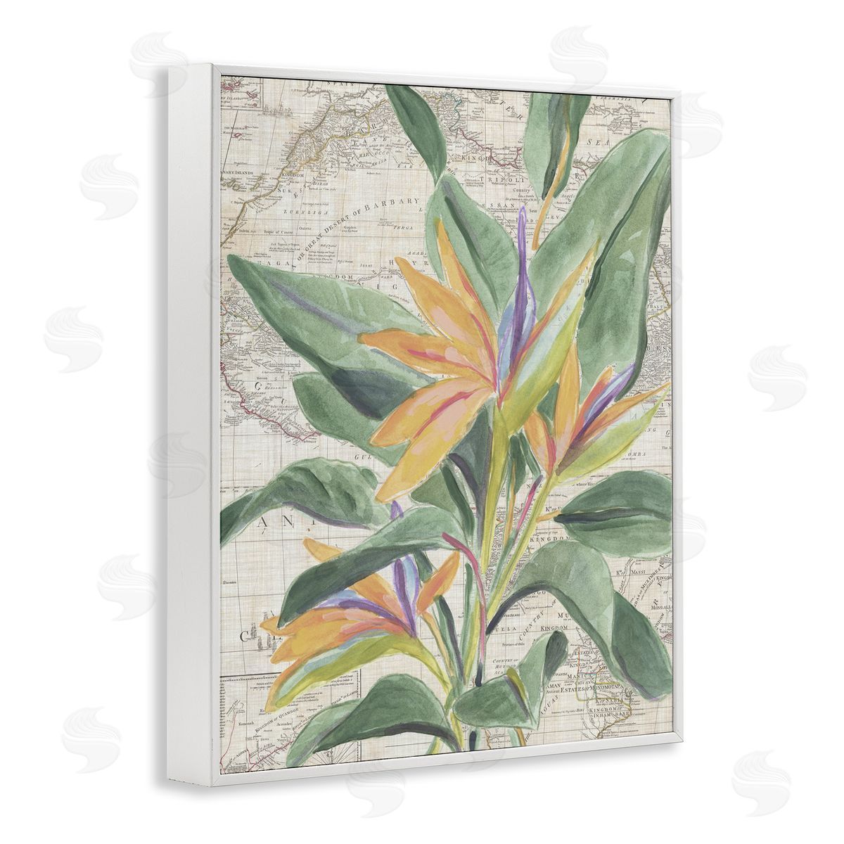 Tropical Flower over Map White Frame Print Wall Art, Home Decor by June Erica Vess