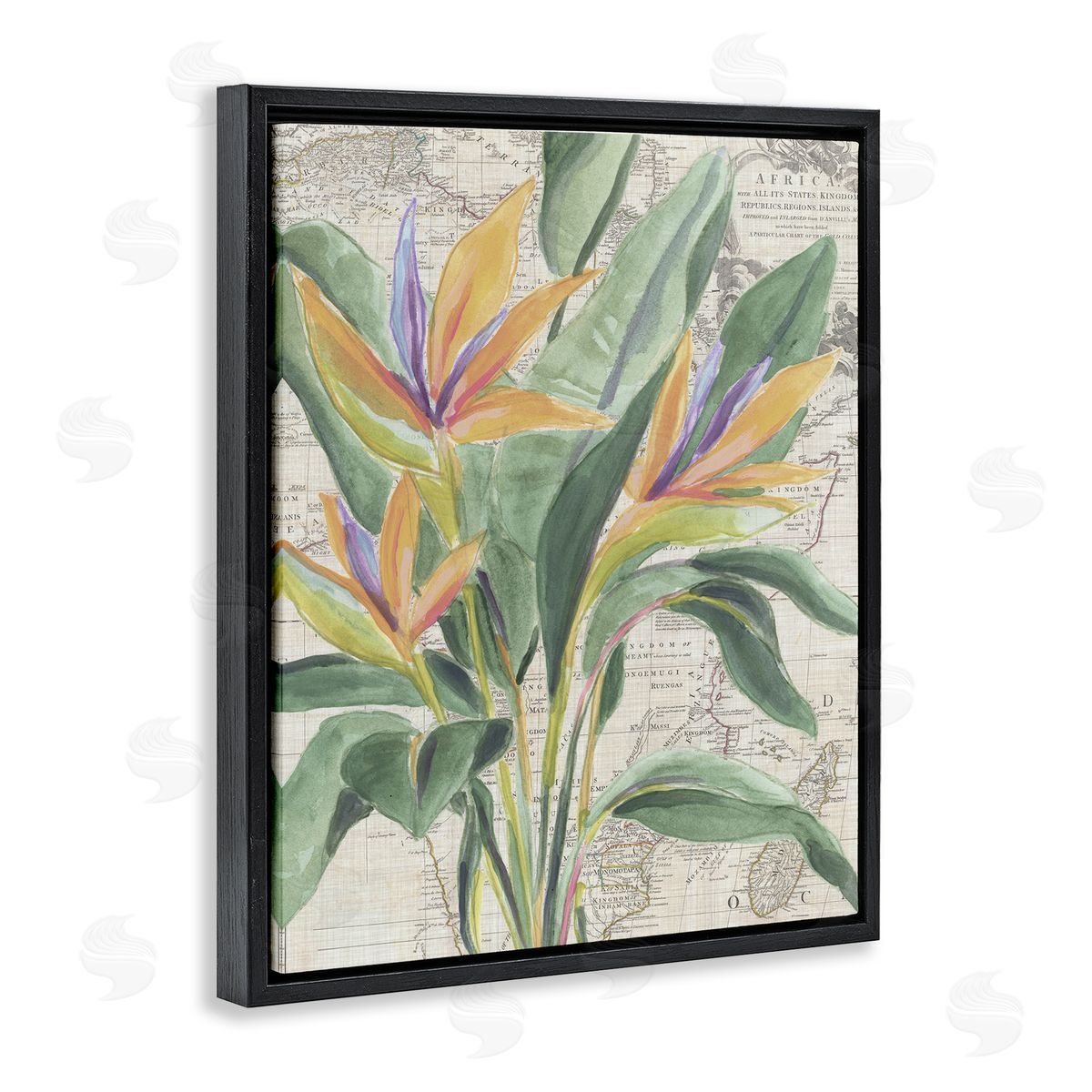 Bird of Paradise over Map Black Floating Frame Canvas Wall Art, Home Decor by June Erica Vess