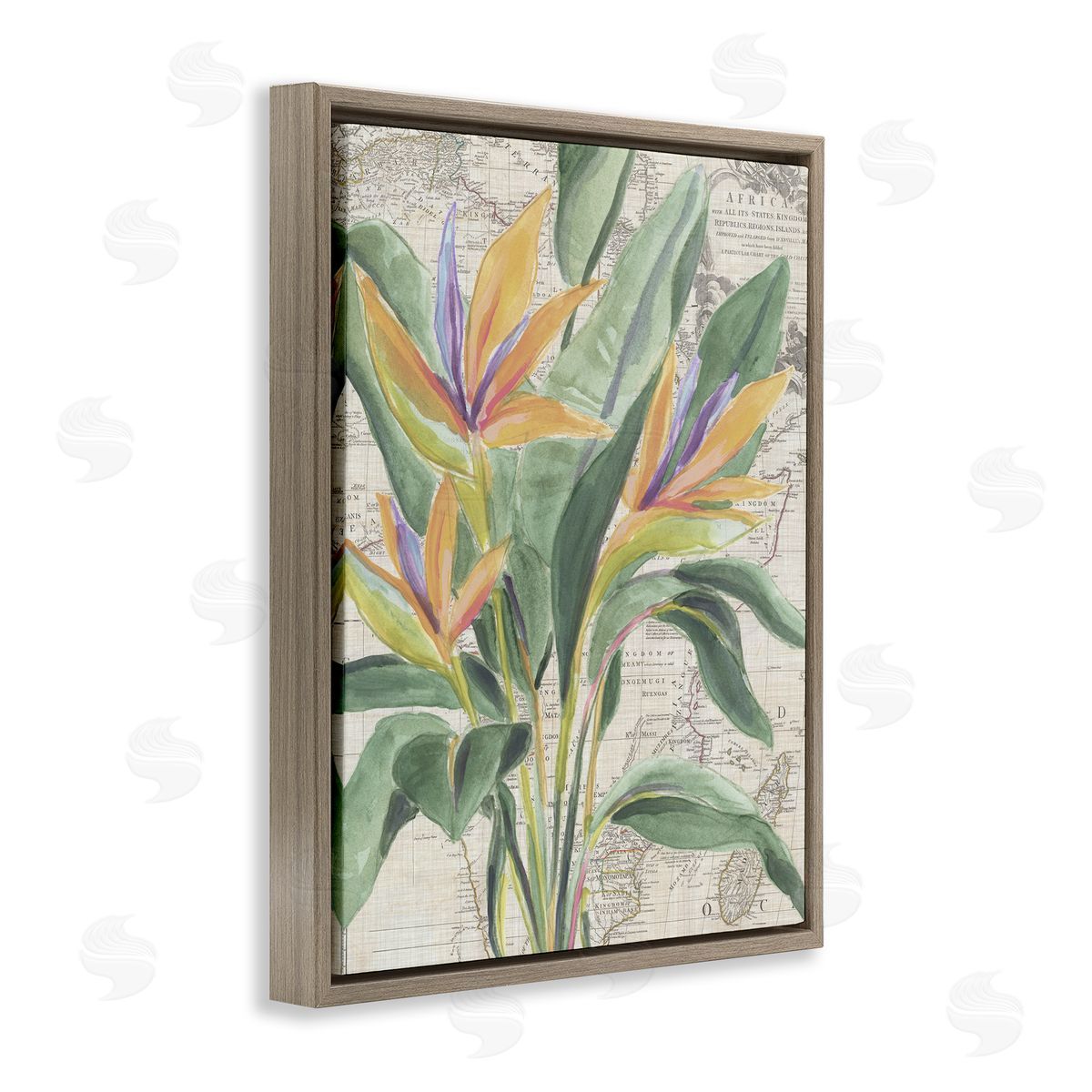 Bird of Paradise over Map Brown Floating Frame Canvas Wall Art, Home Decor by June Erica Vess