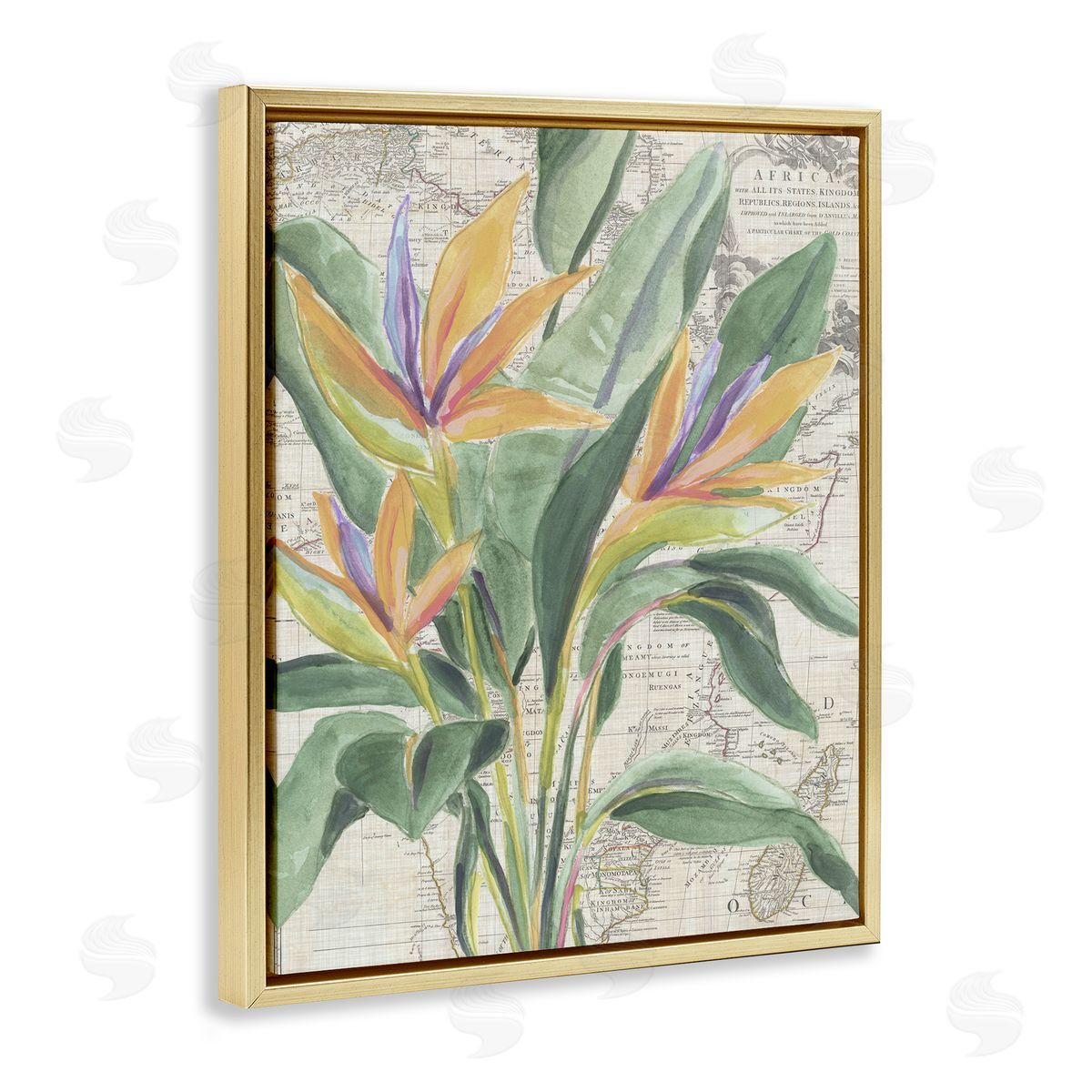Bird of Paradise over Map Gold Floating Frame Canvas Wall Art, Home Decor by June Erica Vess