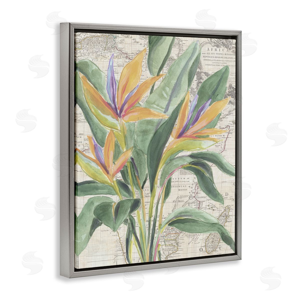 Bird of Paradise over Map Grey Floating Frame Canvas Wall Art, Home Decor by June Erica Vess