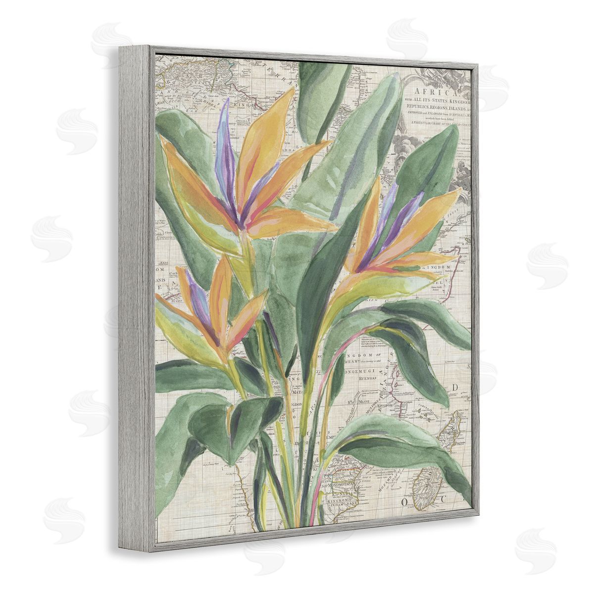 Bird of Paradise over Map Grey Frame Print Wall Art, Home Decor by June Erica Vess