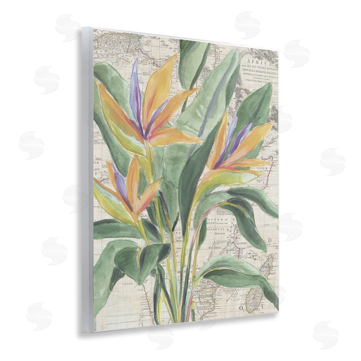 Bird of Paradise over Map Wood Plaque Wall Art, Home Decor by June Erica Vess