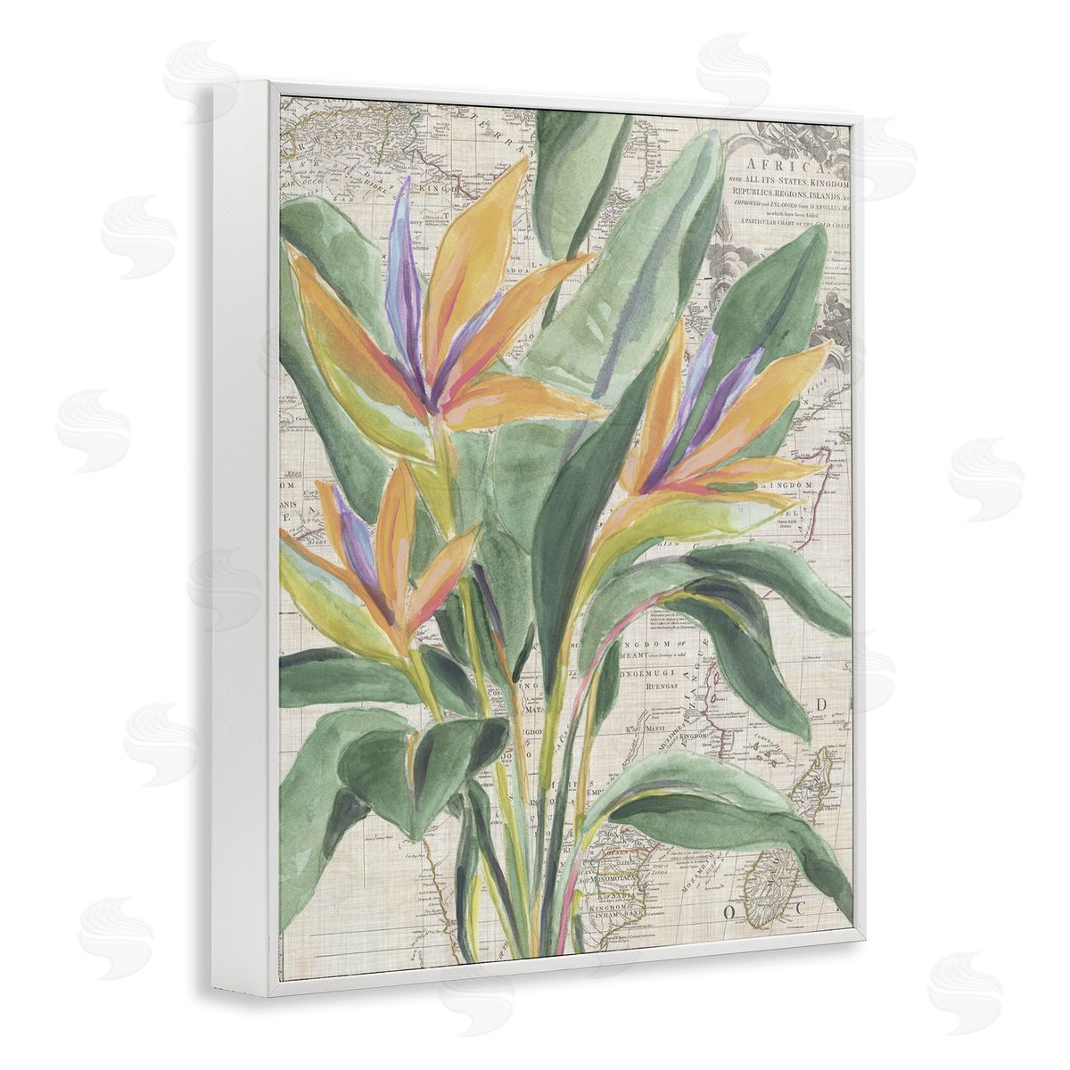 Bird of Paradise over Map White Frame Print Wall Art, Home Decor by June Erica Vess