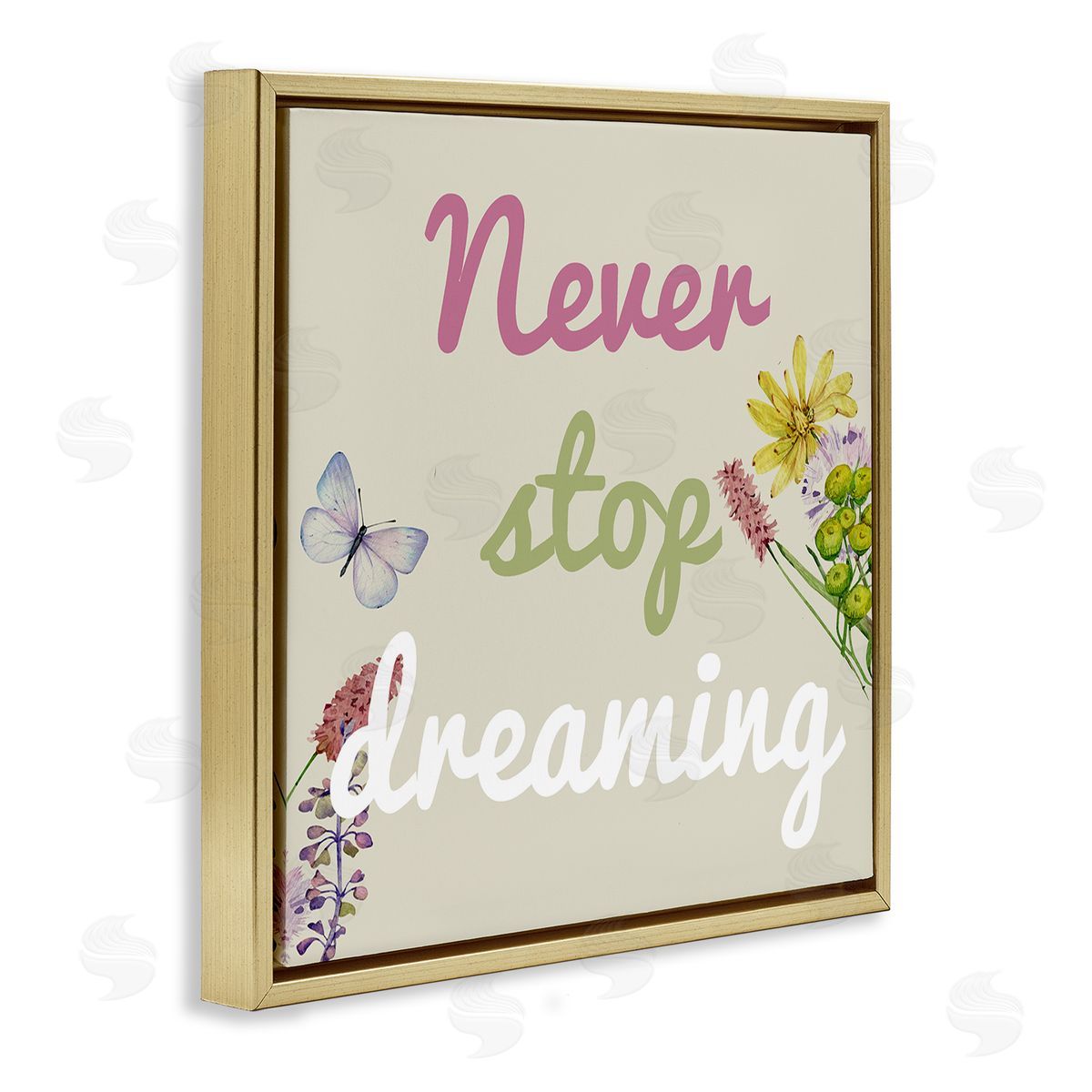 Never Stop Dreaming with Florals Gold Floating Frame Canvas Wall Art, Home Decor by Kim Allen