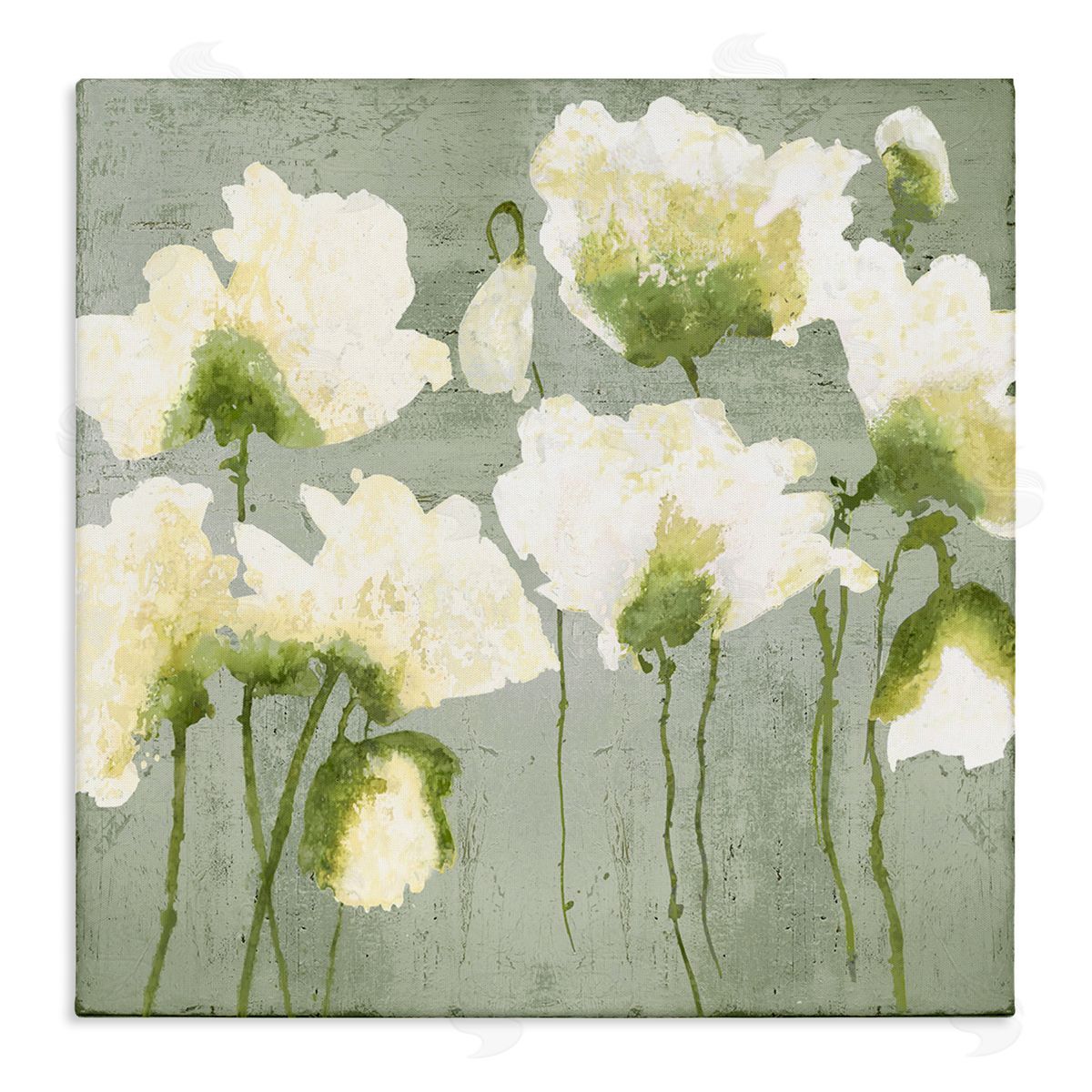 Modern White Flower Blooms Canvas Wall Art, Home Decor by Vanessa Austin
