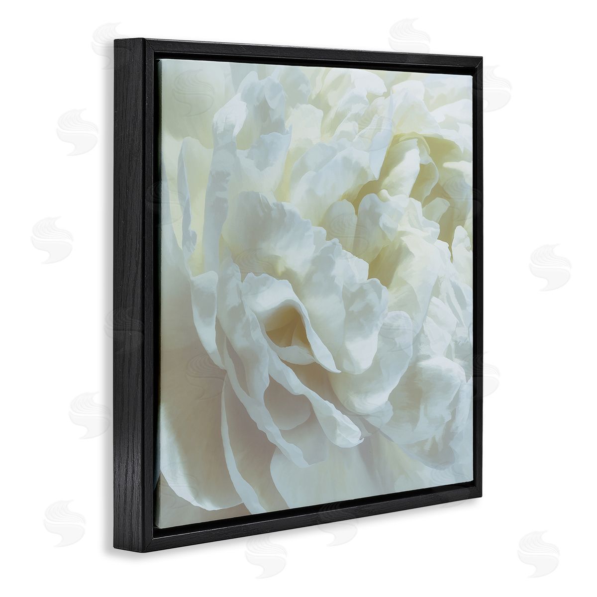 Elegant White Petals Black Floating Frame Canvas Wall Art, Home Decor by David Pollard