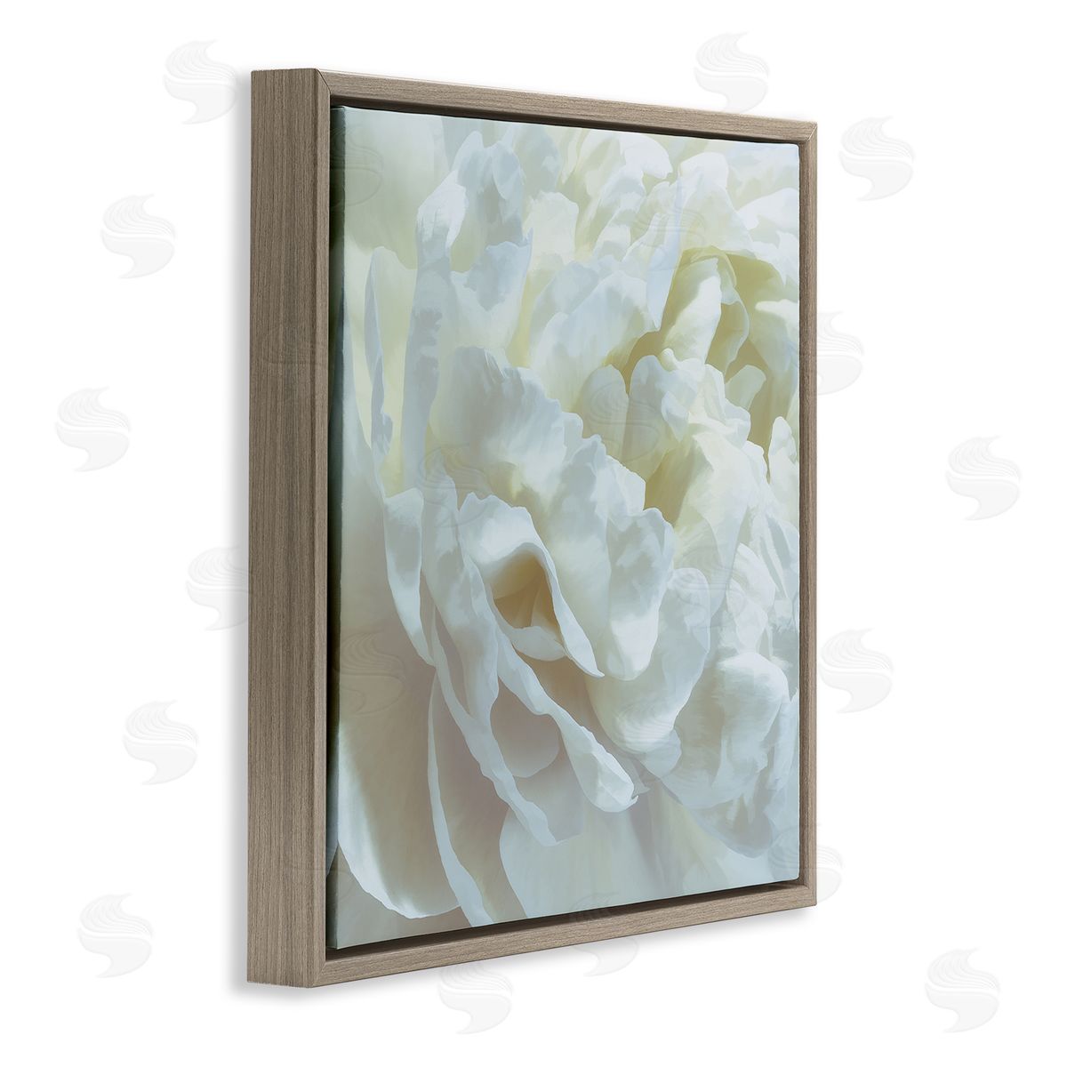 Elegant White Petals Brown Floating Frame Canvas Wall Art, Home Decor by David Pollard
