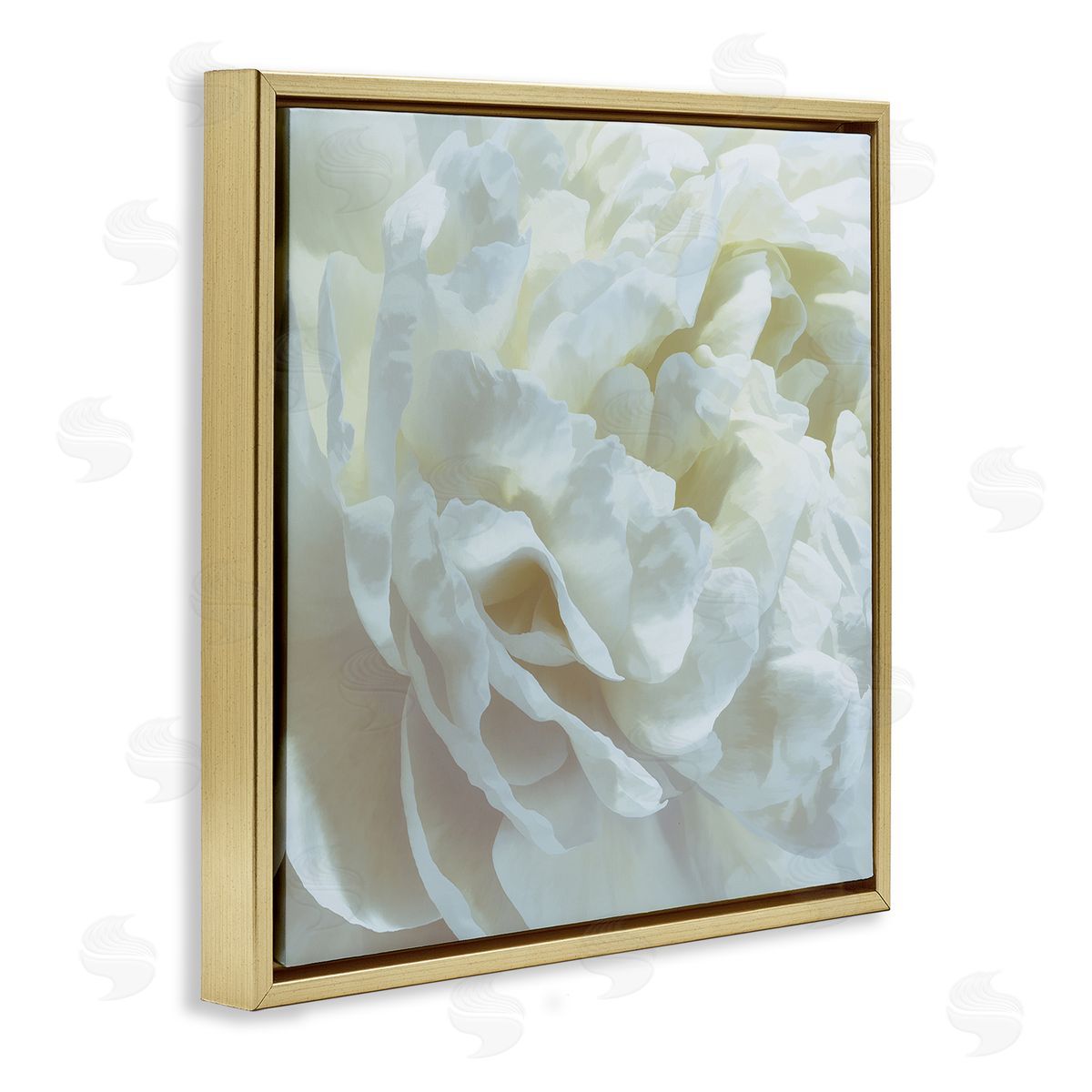 Elegant White Petals Gold Floating Frame Canvas Wall Art, Home Decor by David Pollard