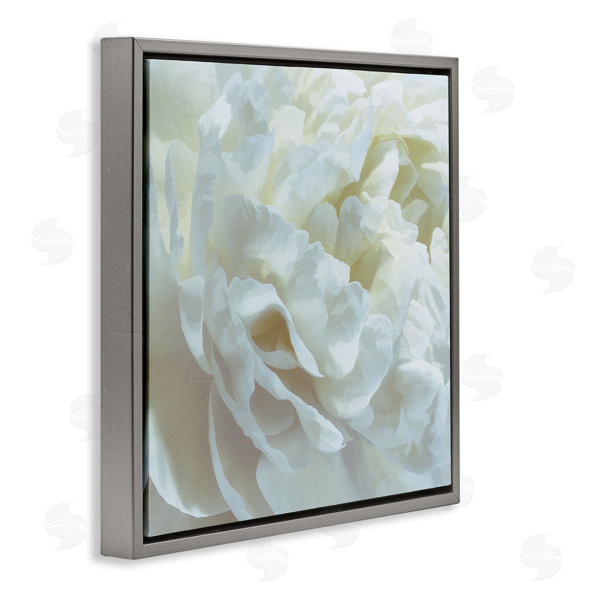 Elegant White Petals Grey Floating Frame Canvas Wall Art, Home Decor by David Pollard