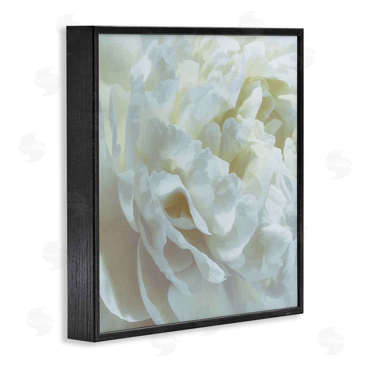 Elegant White Petals Black Frame Print Wall Art, Home Decor by David Pollard