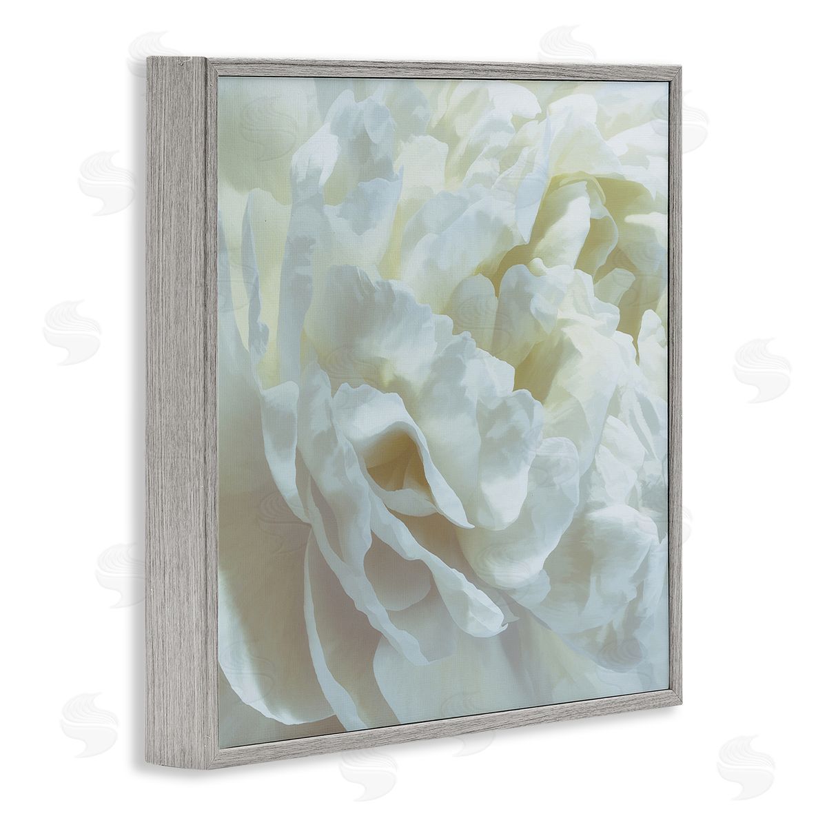 Elegant White Petals Grey Frame Print Wall Art, Home Decor by David Pollard