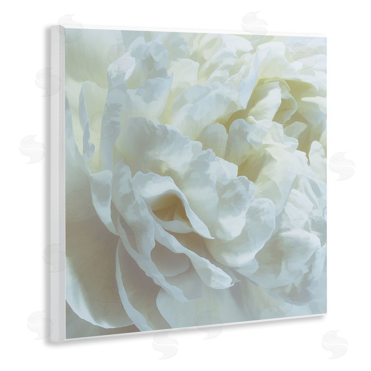 Elegant White Petals Wood Plaque Wall Art, Home Decor by David Pollard