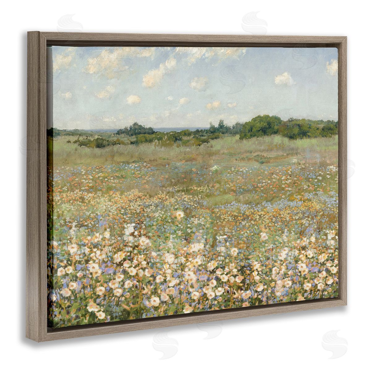 Vast Flower Speckled Meadow Brown Floating Frame Canvas Wall Art, Home Decor by Amber Sterling