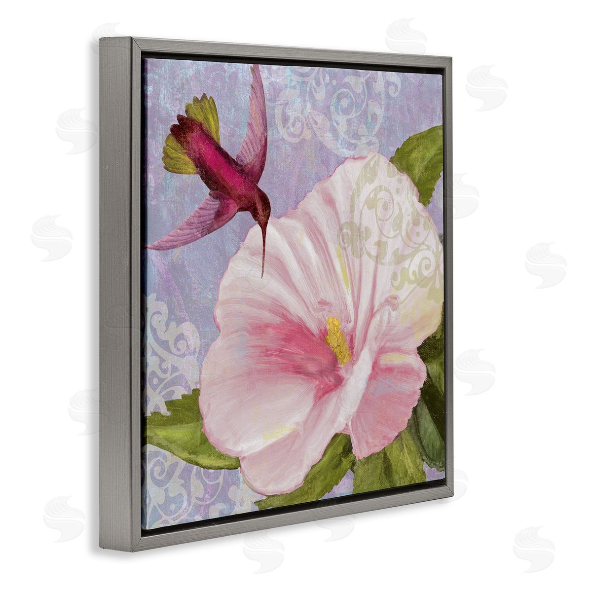Hummingbird with White Flower Grey Floating Frame Canvas Wall Art, Home Decor by Sasha