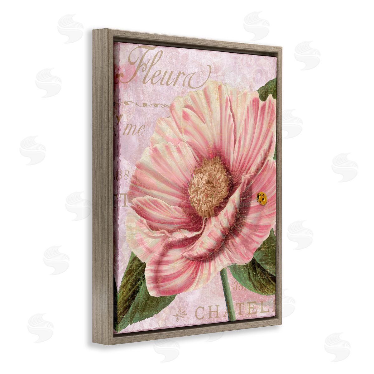 French Flower & Ladybug Brown Floating Frame Canvas Wall Art, Home Decor by Sasha