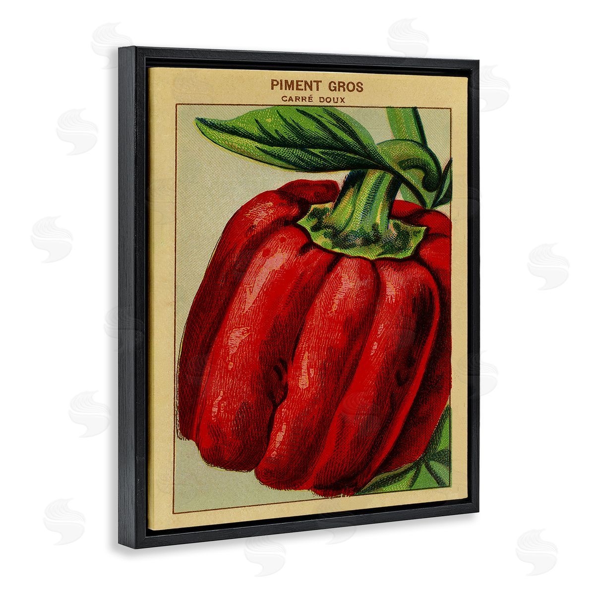 Country Vintage Pepper Black Floating Frame Canvas Wall Art, Home Decor by Stupell Studio
