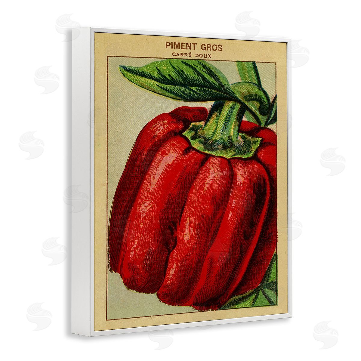 Country Vintage Pepper White Frame Print Wall Art, Home Decor by Stupell Studio