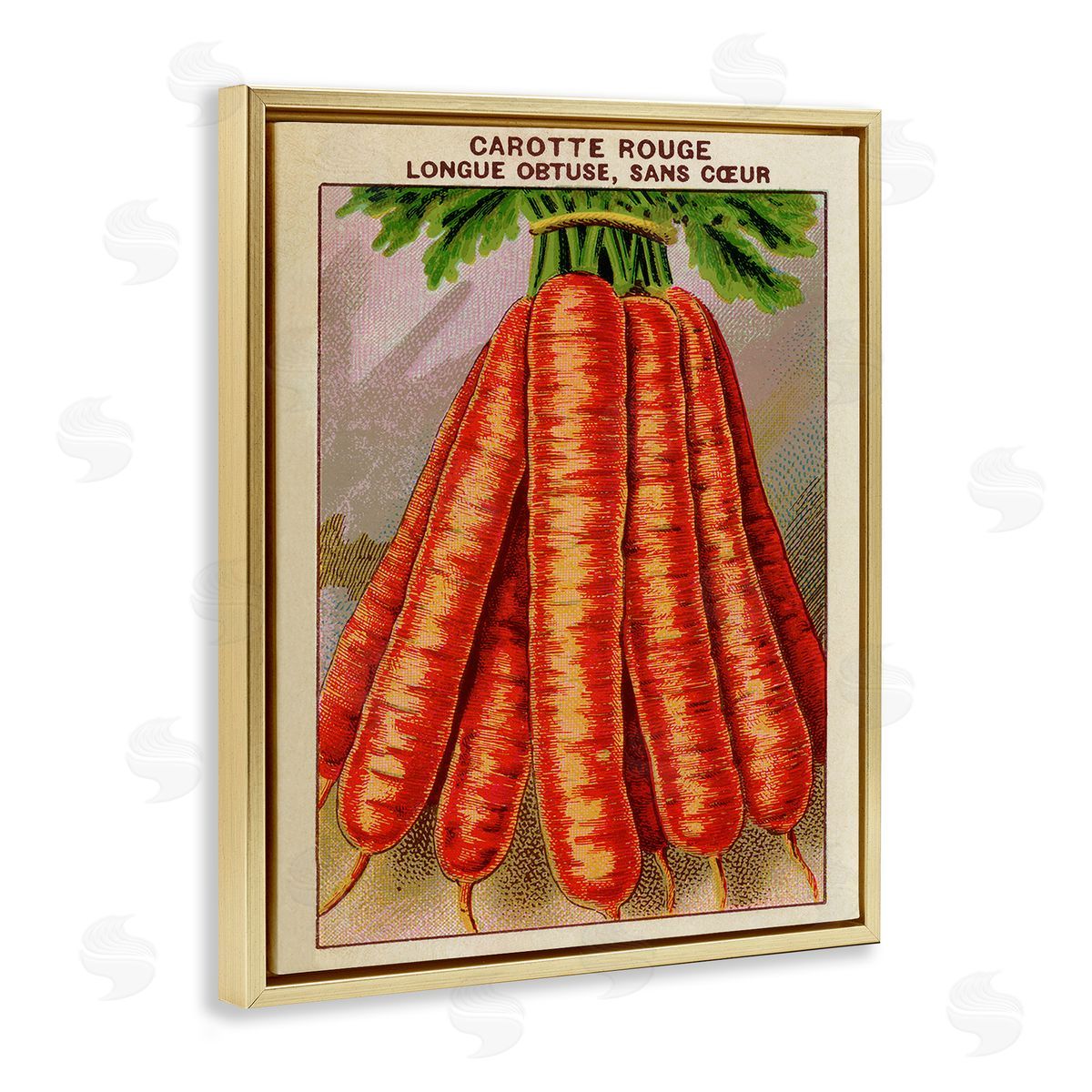 Country Vintage Carrots Gold Floating Frame Canvas Wall Art, Home Decor by Stupell Studio