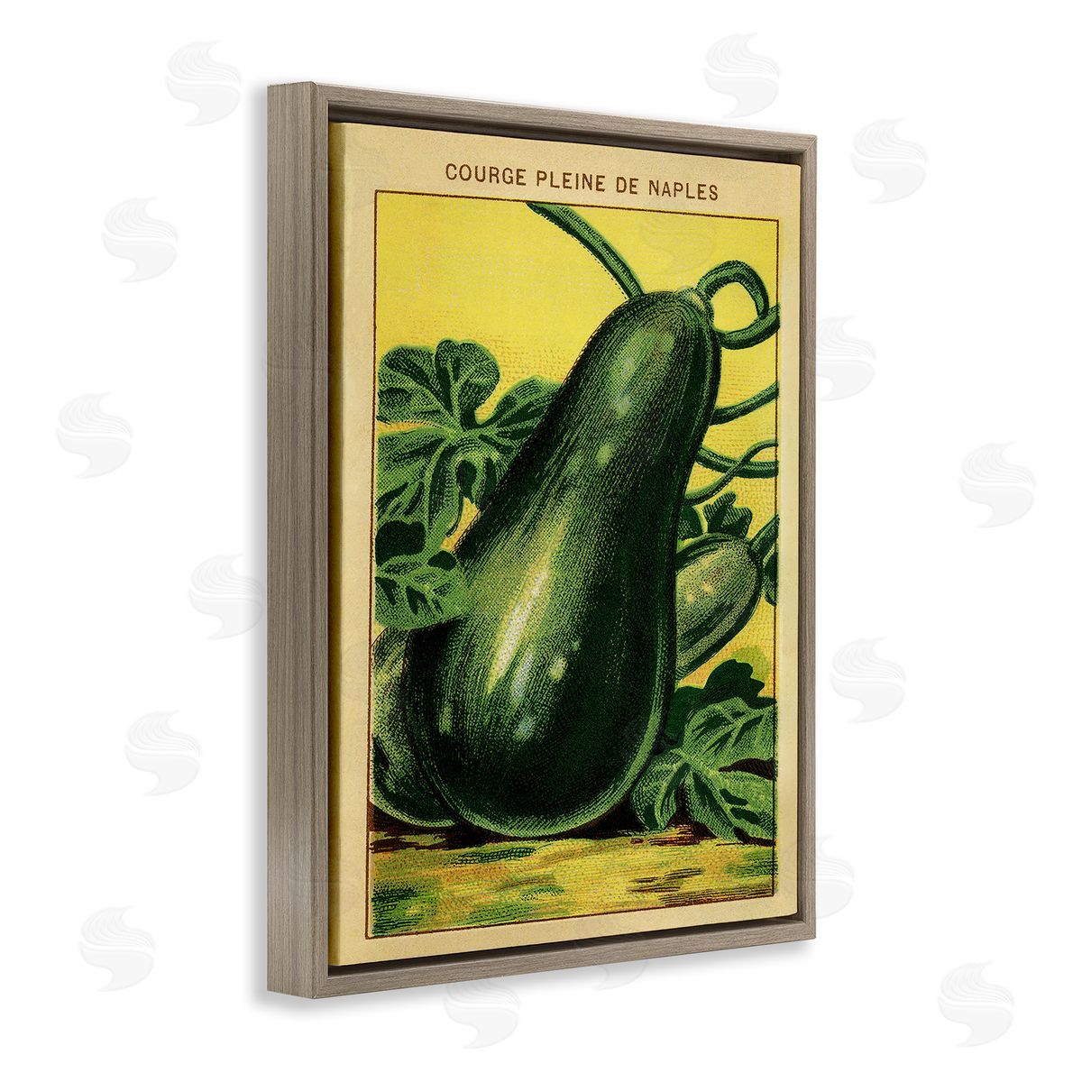 Country Vintage Squash Brown Floating Frame Canvas Wall Art, Home Decor by Stupell Studio