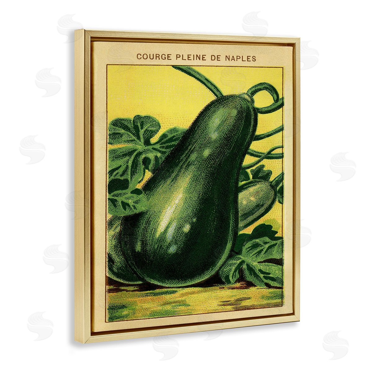 Country Vintage Squash Gold Floating Frame Canvas Wall Art, Home Decor by Stupell Studio