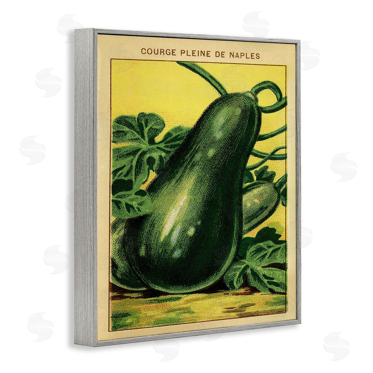 Country Vintage Squash Grey Frame Print Wall Art, Home Decor by Stupell Studio