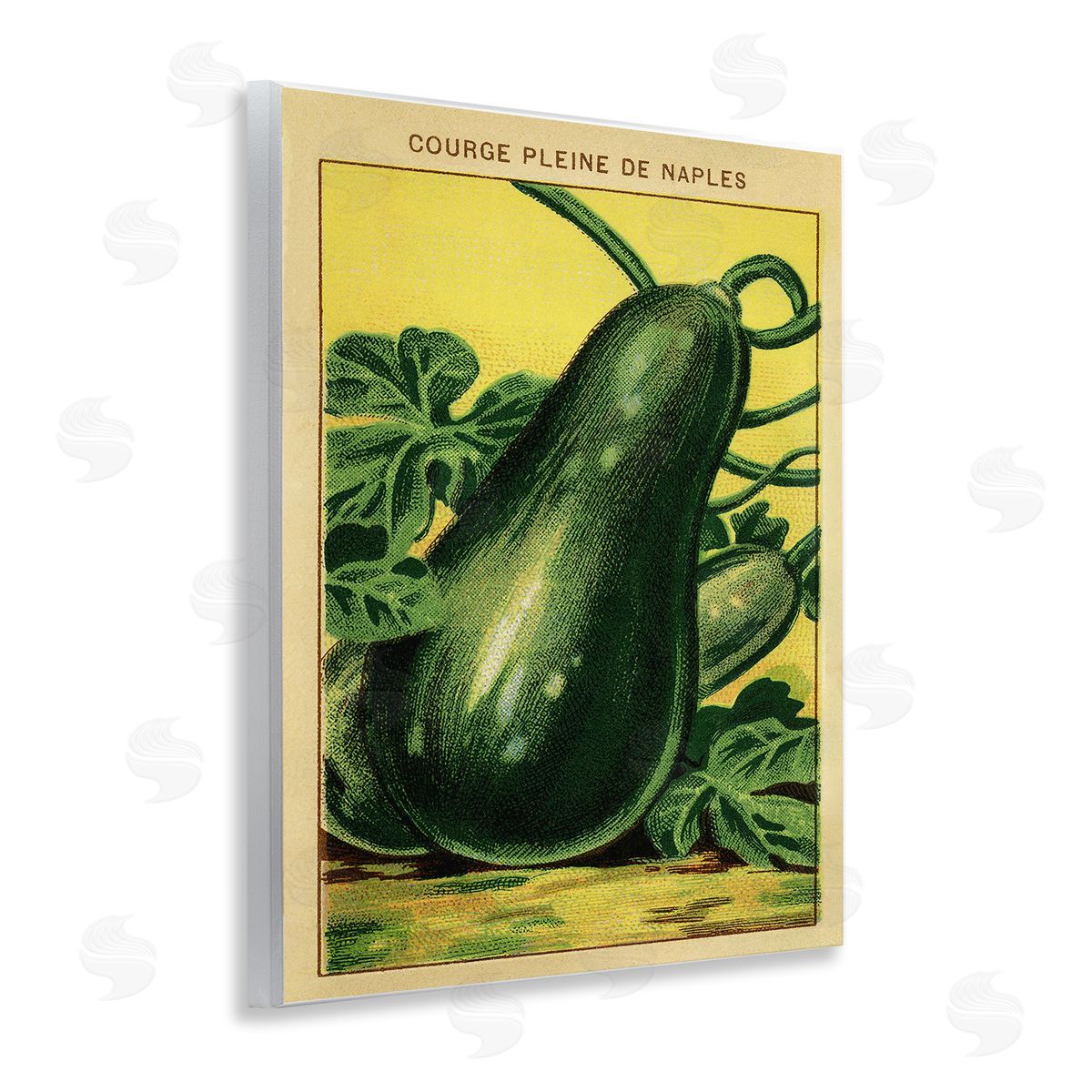 Country Vintage Squash Wood Plaque Wall Art, Home Decor by Stupell Studio