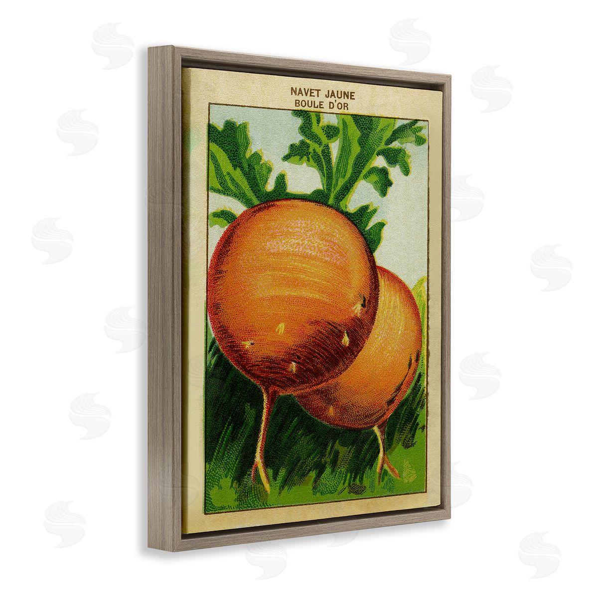 Country Vintage Onions Brown Floating Frame Canvas Wall Art, Home Decor by Stupell Studio