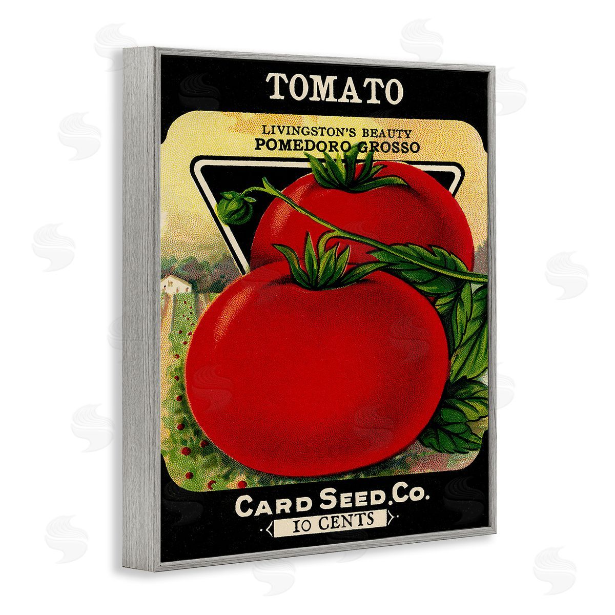 Vintage Garden Tomato Grey Frame Print Wall Art, Home Decor by Stupell Studio