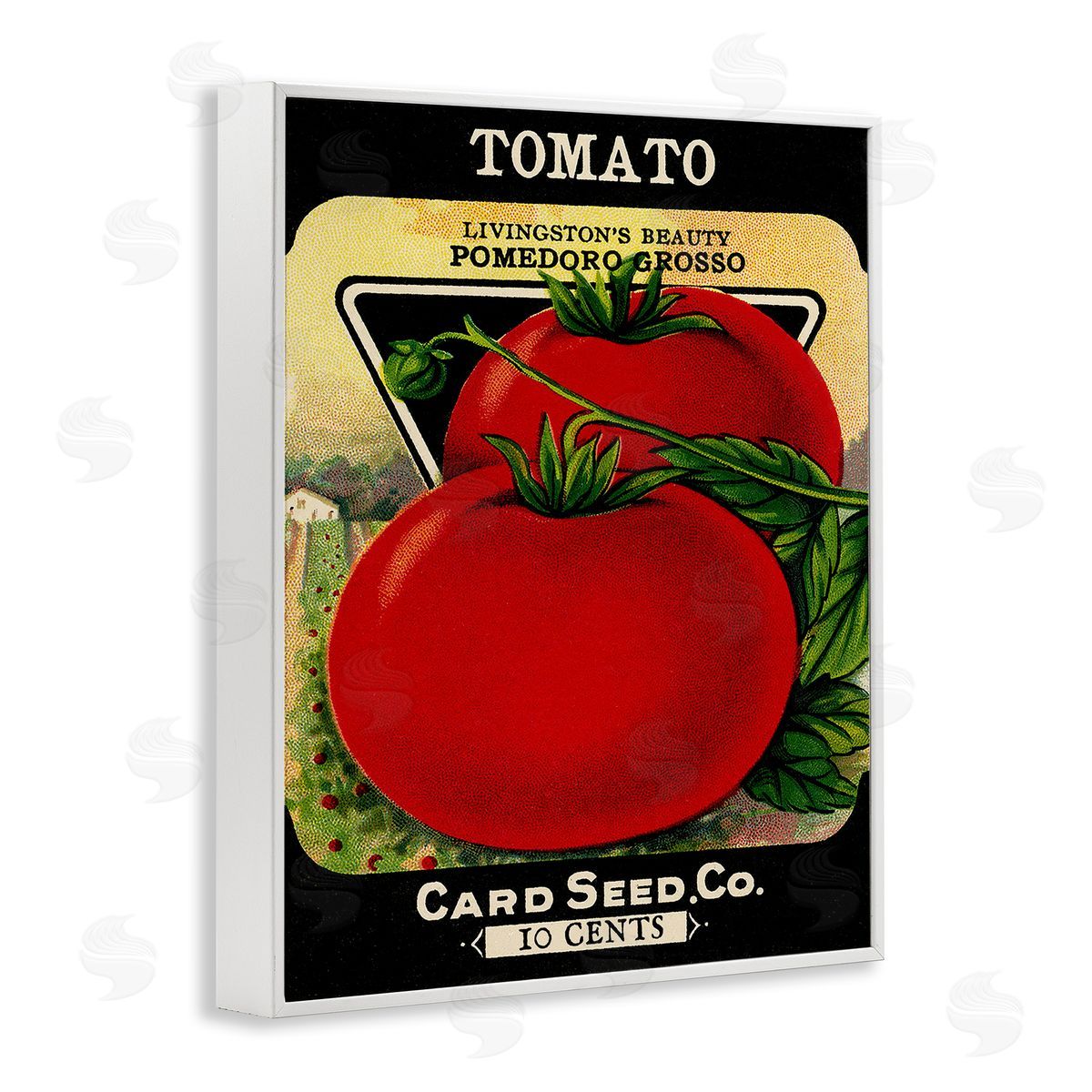 Vintage Garden Tomato White Frame Print Wall Art, Home Decor by Stupell Studio