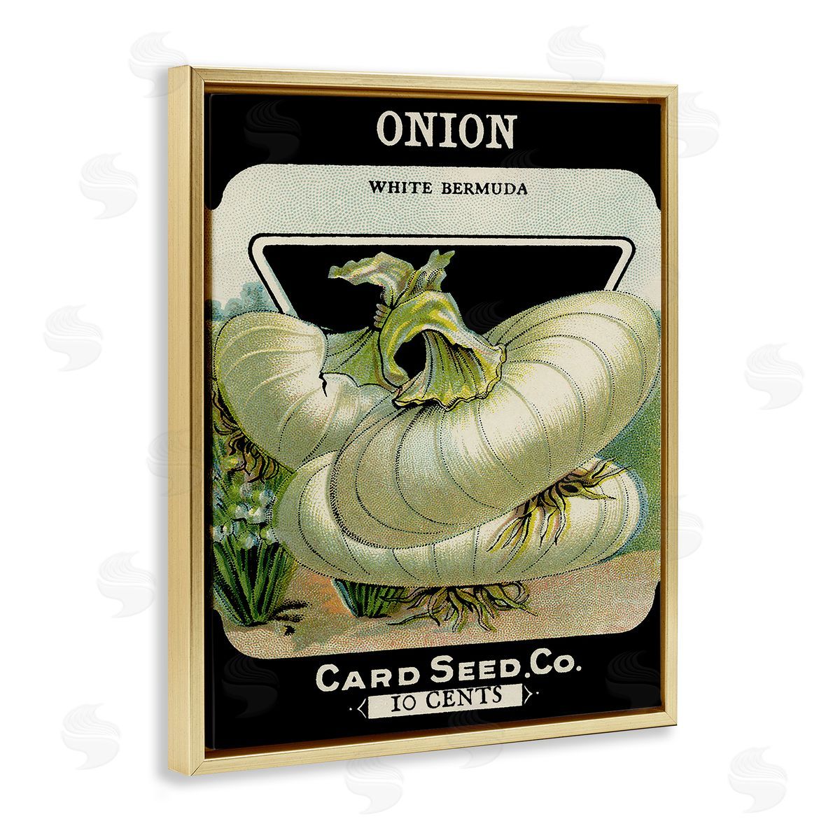 Vintage Garden Onion Gold Floating Frame Canvas Wall Art, Home Decor by Stupell Studio