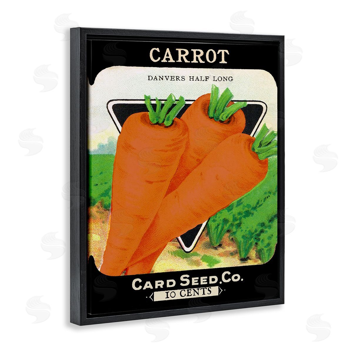 Vintage Garden Carrots Black Floating Frame Canvas Wall Art, Home Decor by Stupell Studio