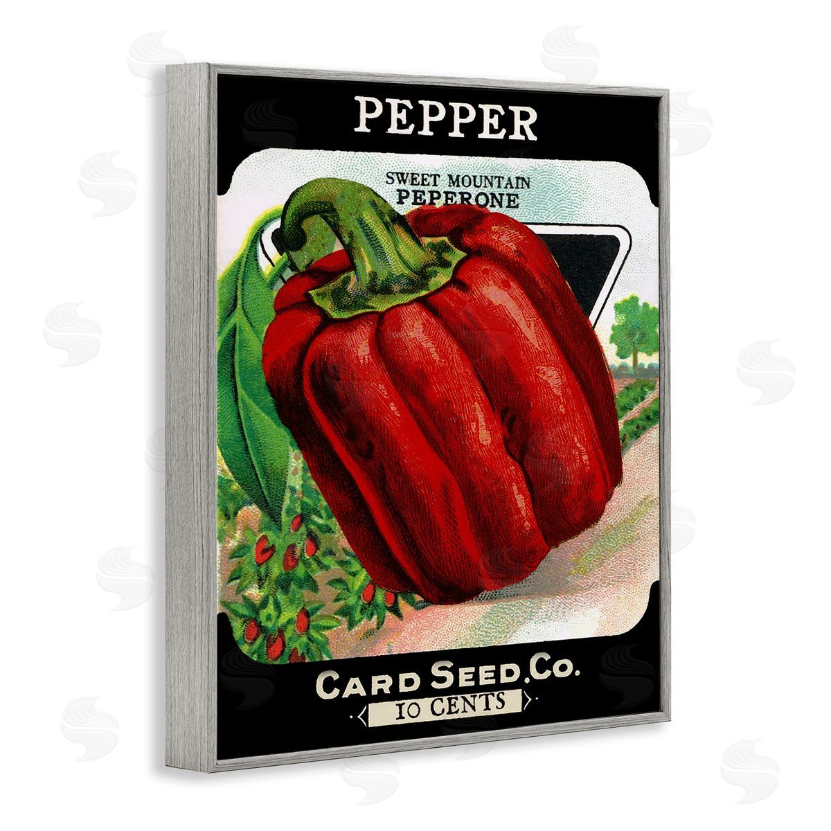 Vintage Garden Peppers Grey Frame Print Wall Art, Home Decor by Stupell Studio
